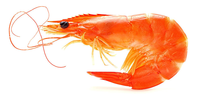 Купить креветки оптом дешево в Москве 