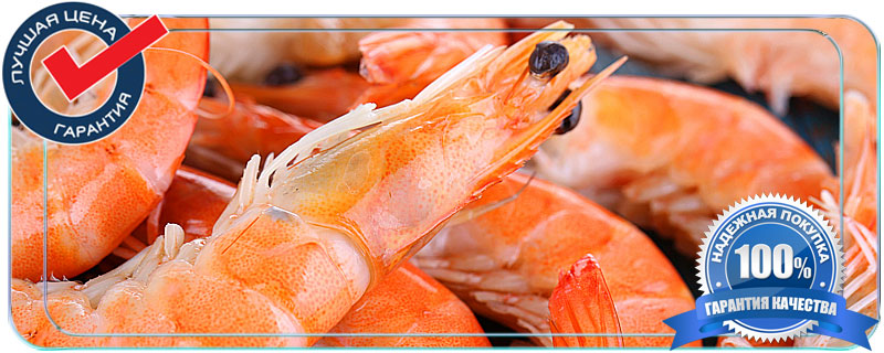 Креветки сухая заморозка Москва опт
