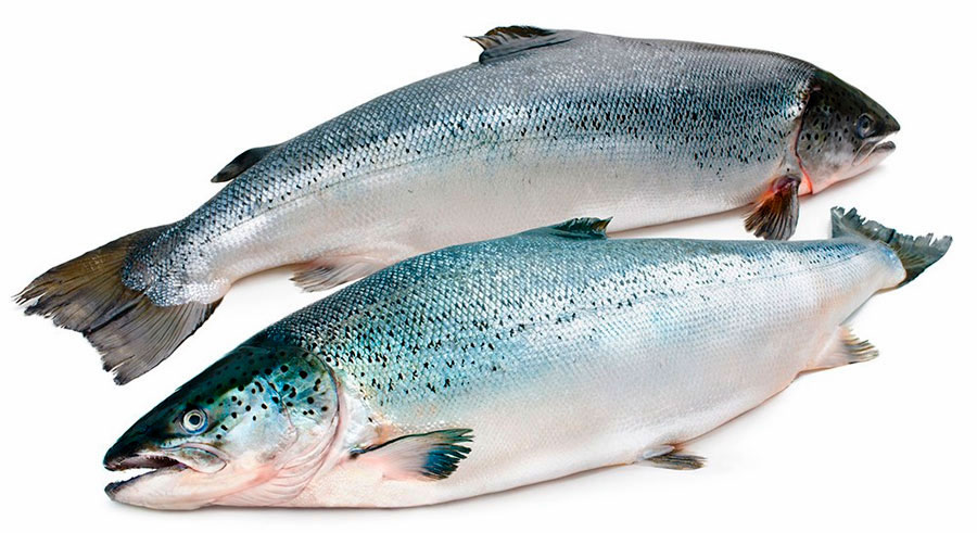 Рыба оптом со склада в Москве  