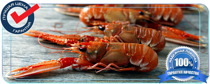 Лангустины  сухой заморозки оптовые цены 