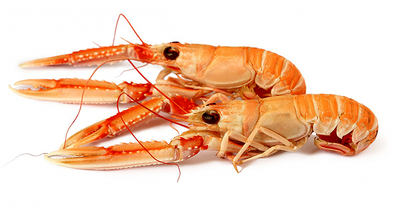 Купить лангустины в Москве недорого