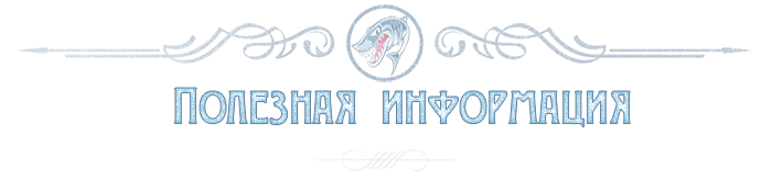 poleznaja informacija