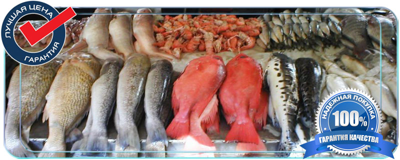 как выбрать свежую рыбу в магазине 