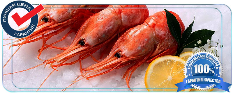 Креветки оптом от прямых поставщиков недорого с доставкой по Московской области