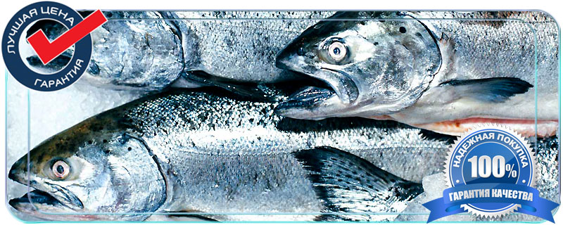 Рыба оптом в Москве 