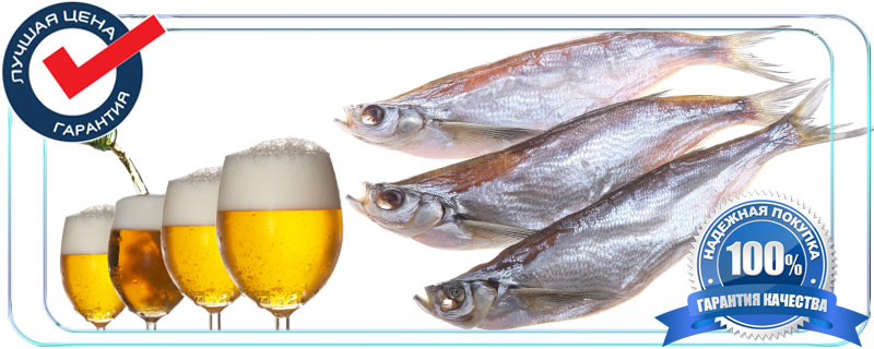 Сушоная вяленая рыба вобла для пивных магазинов в баров в Московской области