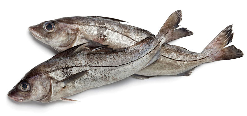 Купить треску сухой заморозки оптом 