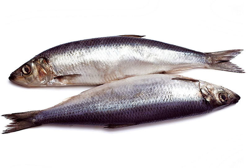 Купить сельдь залом в розницу в Истре 