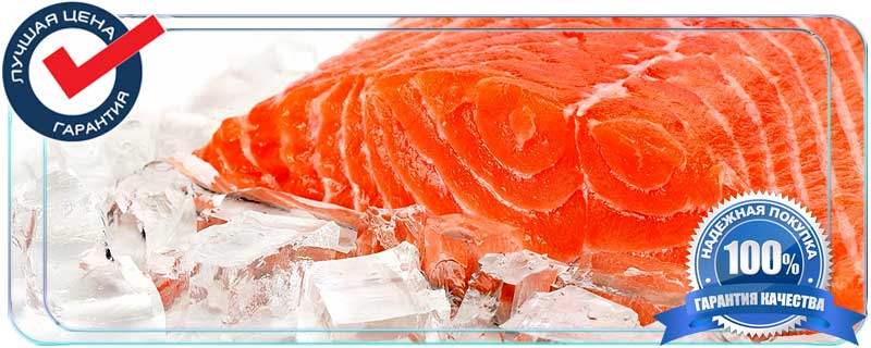 Куплю оптом семгу охлажденную недорого с доставкой по Московской области 