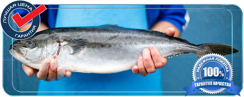 купить свежую рыбу в москве оптом