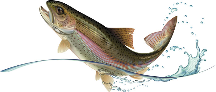 купить малька форели цена