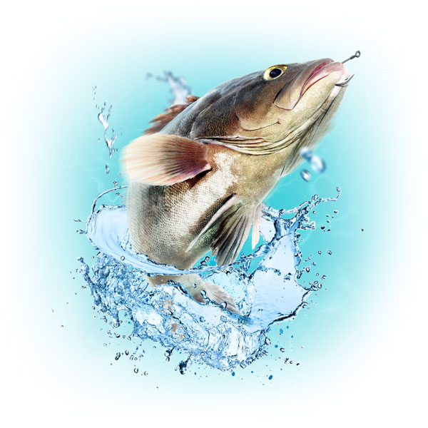 купить рыбу для пруда оптом в Истринском районе 